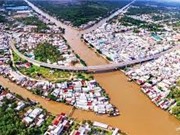 Diện tích rừng ngập mặn ở ĐBSCL suy giảm gần một nửa trong 48 năm qua
